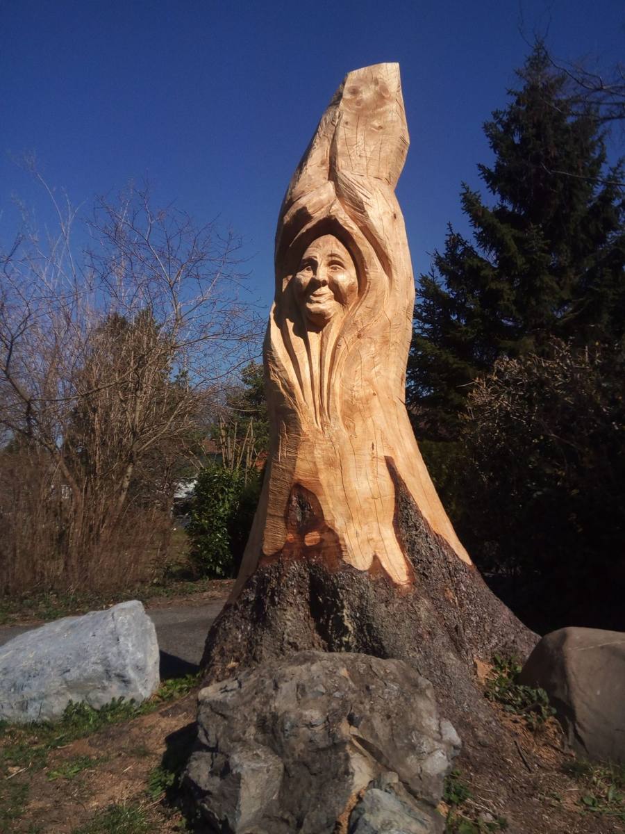 Gesicht im Baumstamm