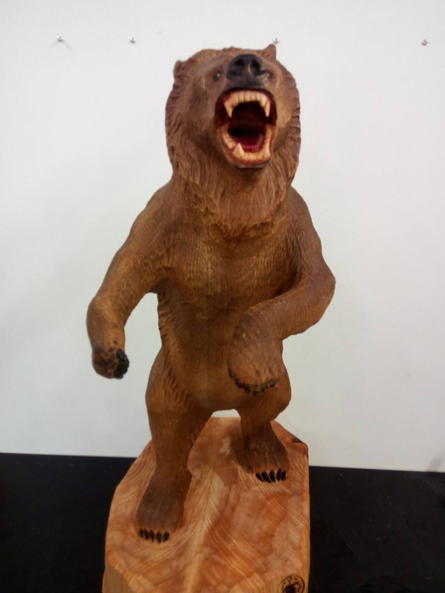 Grizzlybär, Frontansicht