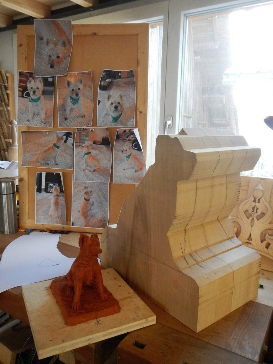 Hundeportrait im Rohzustand