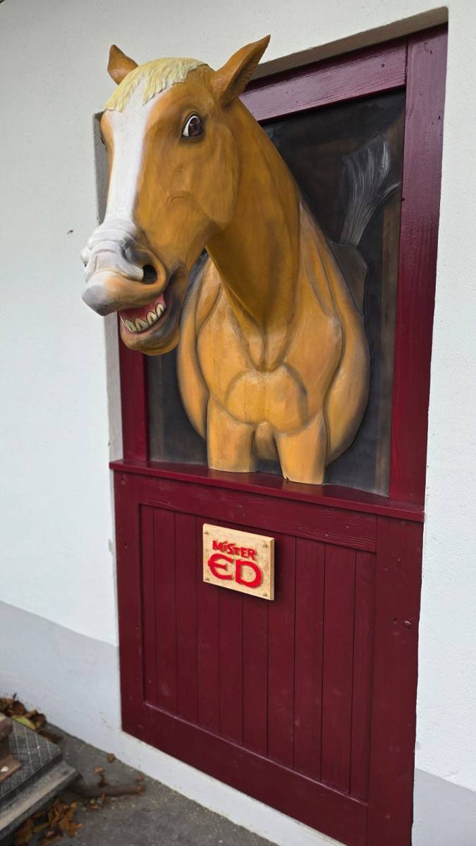 Mr. ED in der Türe