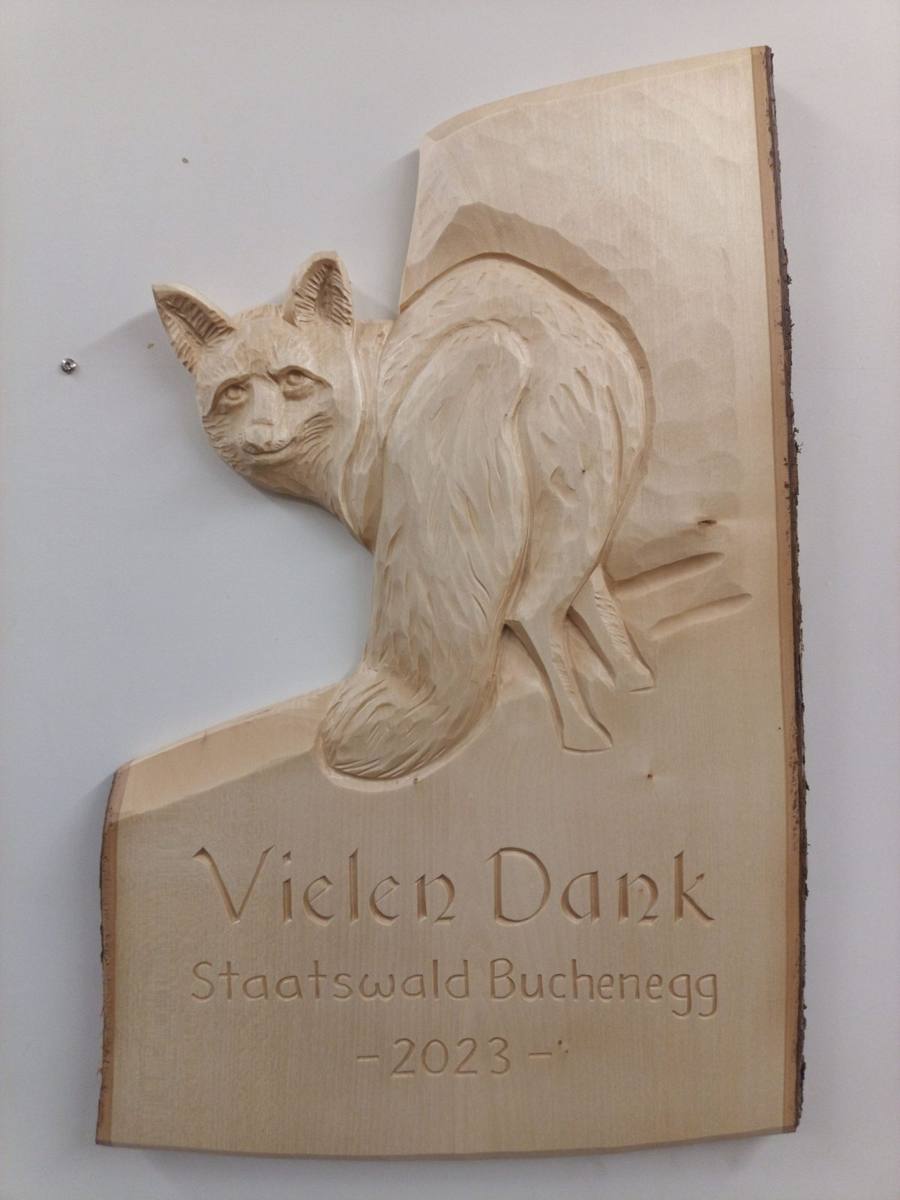 Dankestafel mit Waschbär