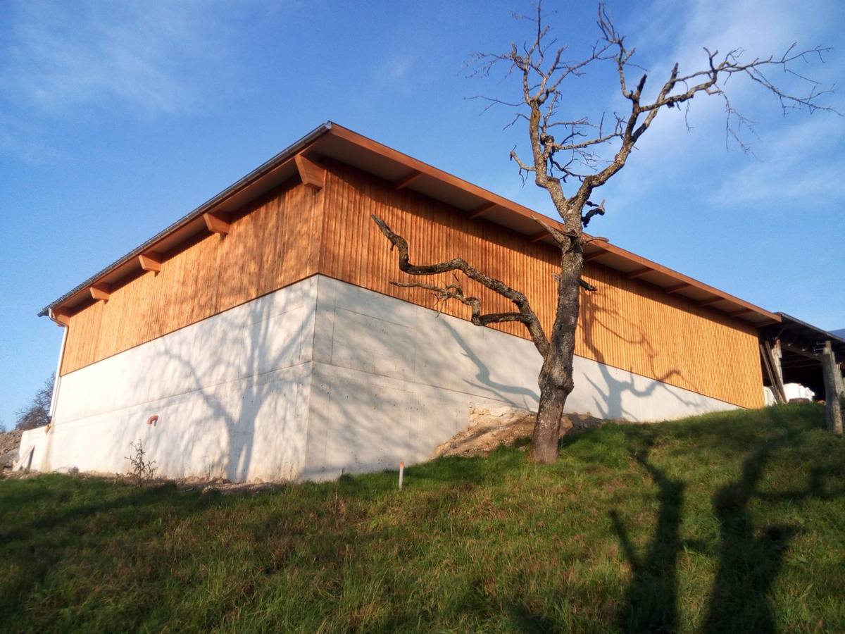 Halle mit Holzfassade am Hang