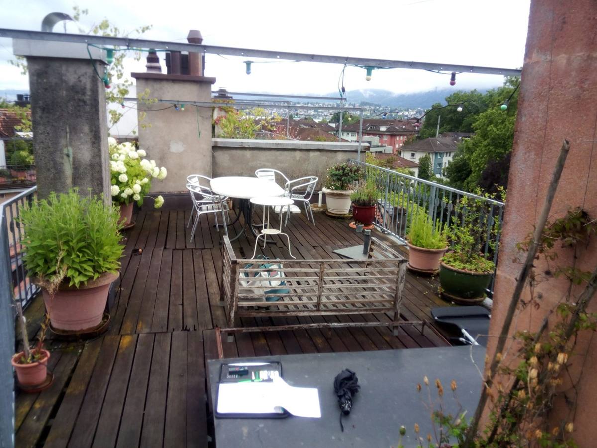 Terrasse mit Holzdeck und Pflanzen